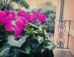 hotel-rosalba-perugia-039